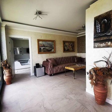 Lux Vila Aleksandar Sremska Kamenica Exteriér fotografie
