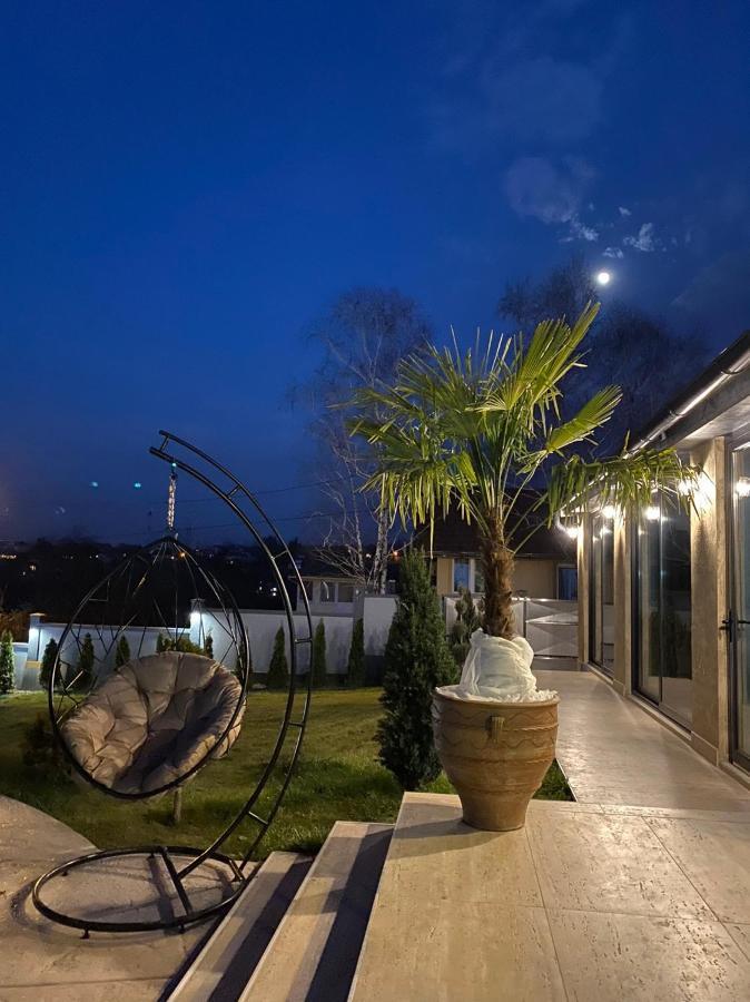 Lux Vila Aleksandar Sremska Kamenica Exteriér fotografie